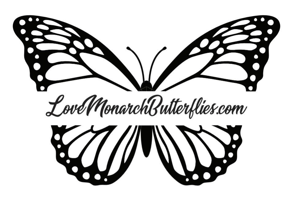 My Blog